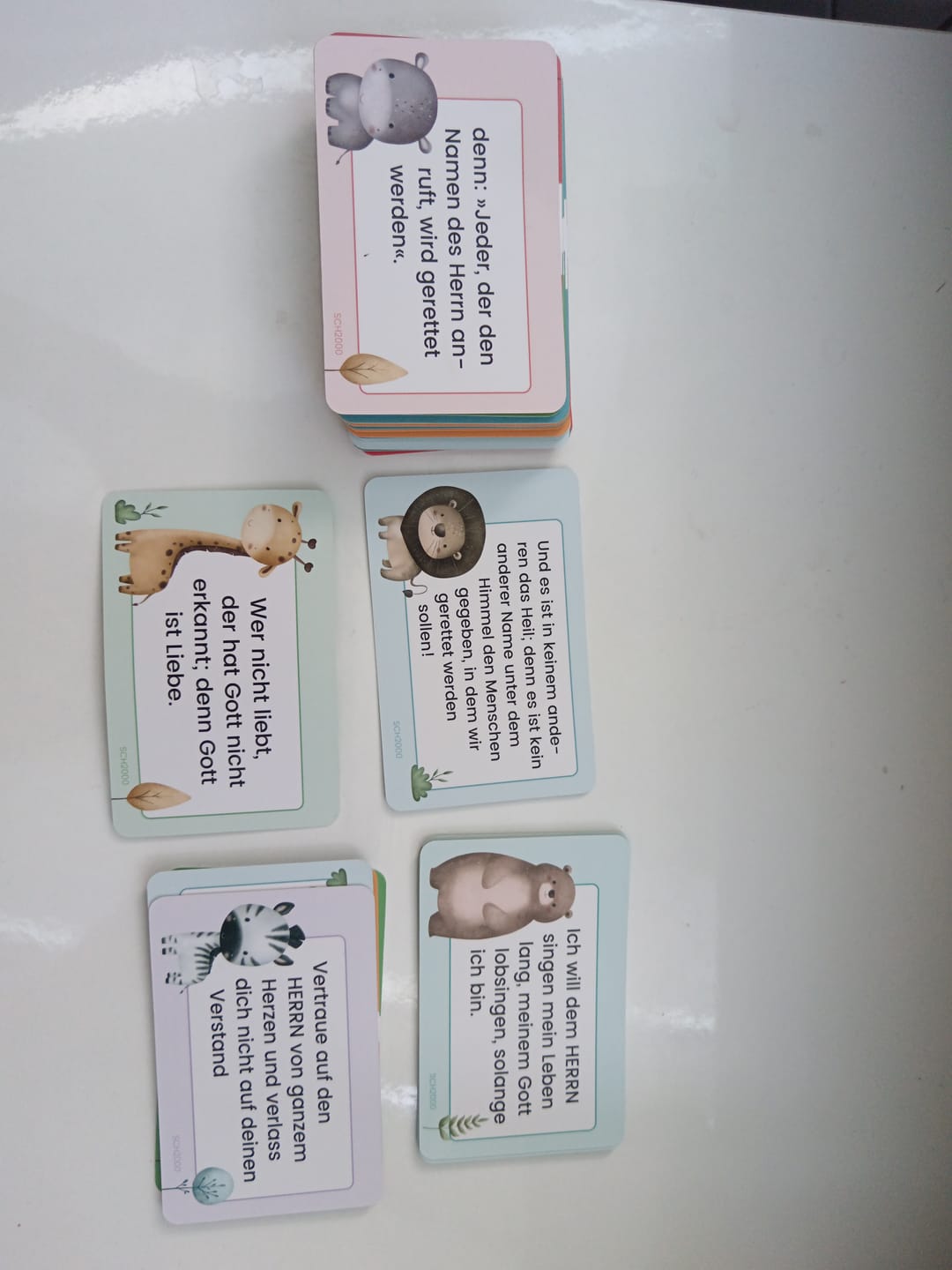 Customer photo review of Wort im Herzen "Für Kinder"  · Bibelverse für Kinder · 48 Lernkarten