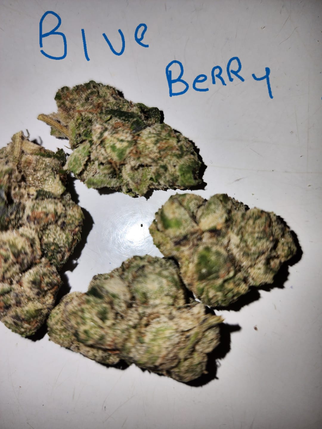Customer photo review of Blueberry THCA Flower (Exotic)