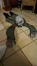 Customer photo review of Gravehaunt Robot Zombie