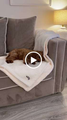 Customer video review of The Bouclé Blanket