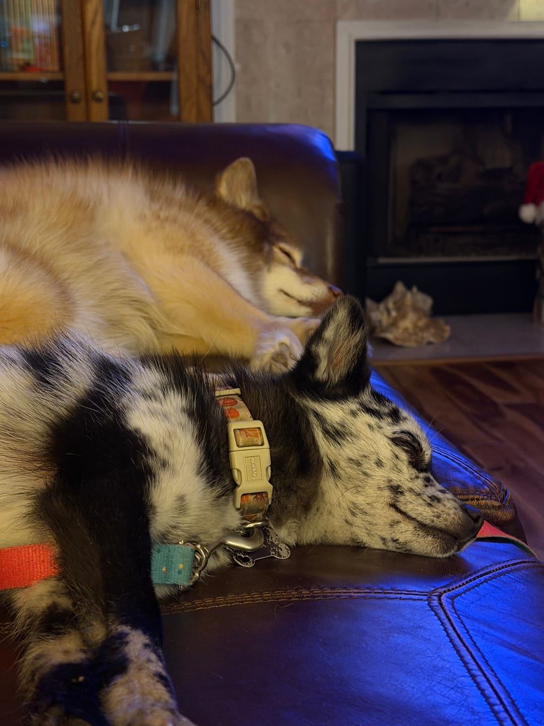Customer photo review of The Ice Blanket