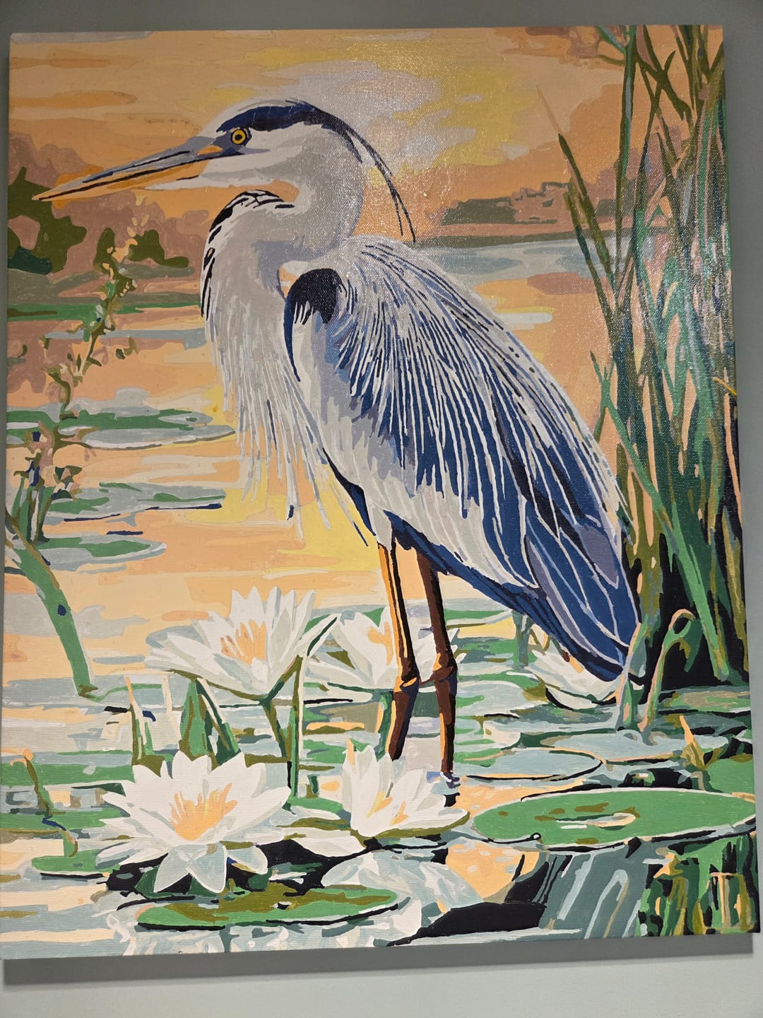 Customer photo review of Great Blue Heron