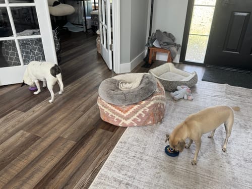 Customer photo review of Freez Doughnut - Super Durable Treat Toy