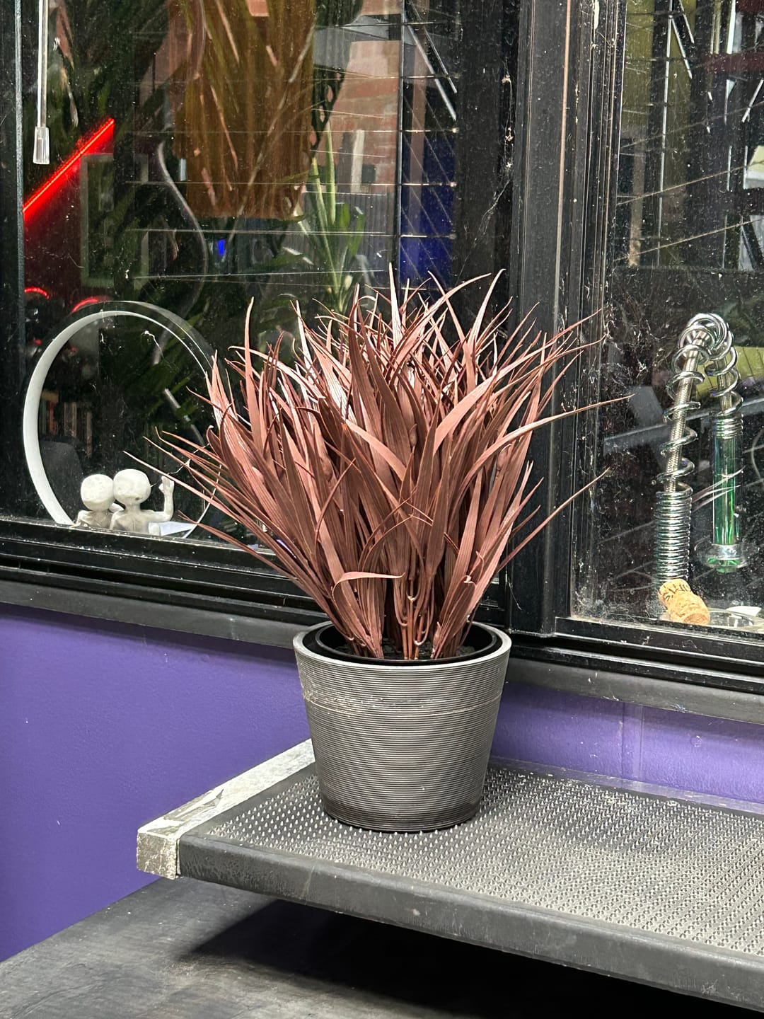 Customer photo review of Potted Artificial Grass Burgundy Plant UV Resistant 38cm