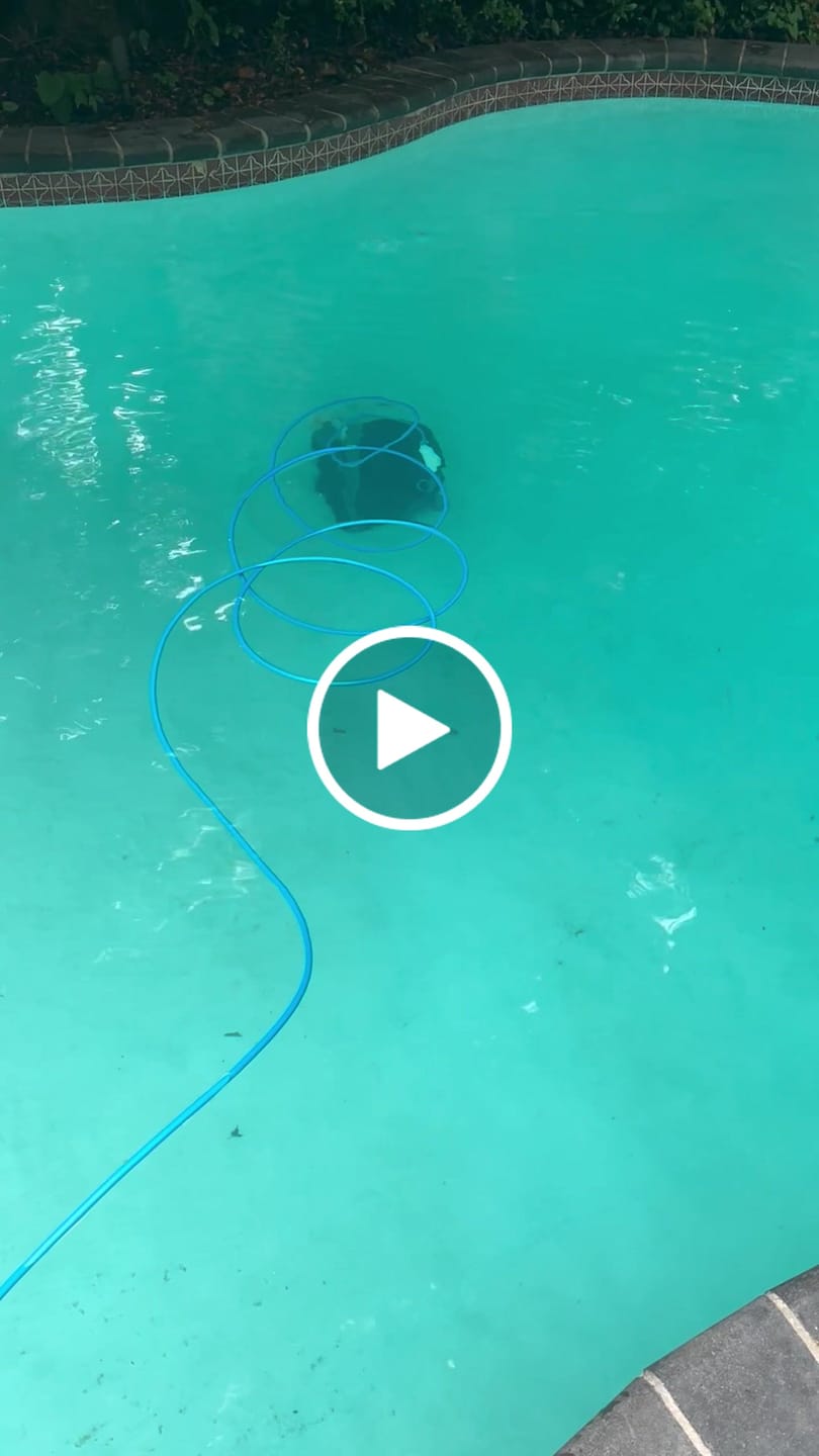 Customer video review of Dolphin Premium 3000 Robotic Pool Cleaner - Enhanced Warranty Included