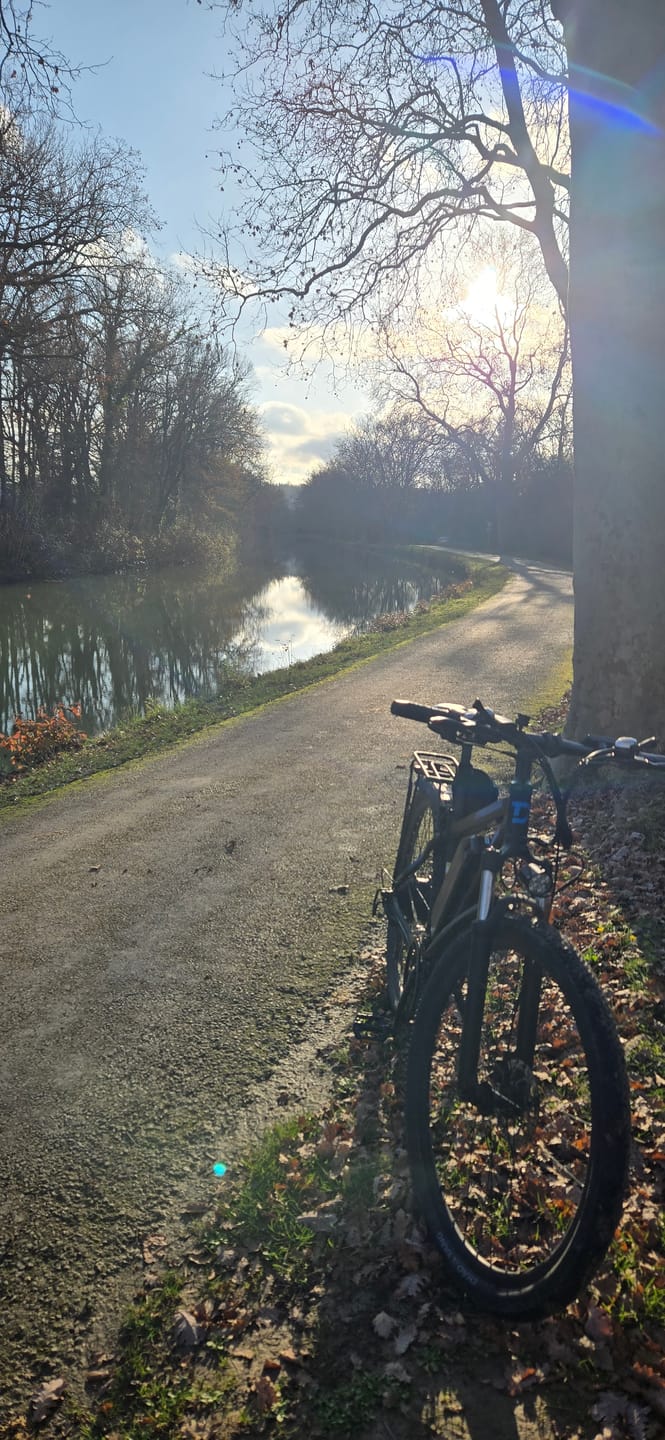 Customer photo review of DUOTTS E-bike 750W Motor