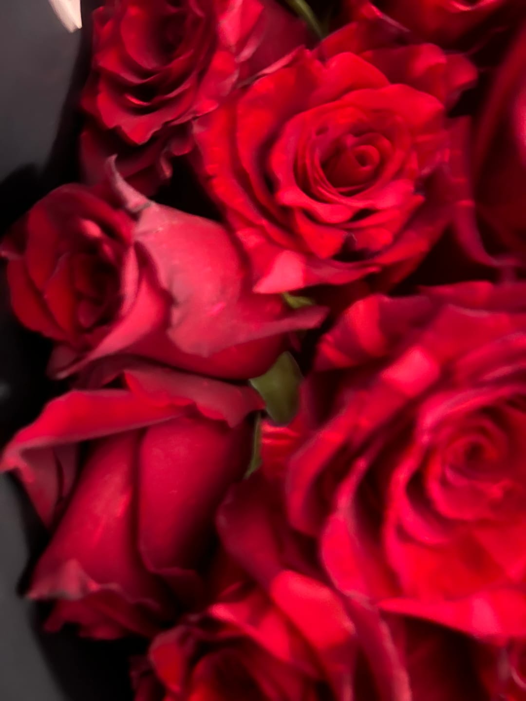 Customer photo review of Red Rose Bouquet