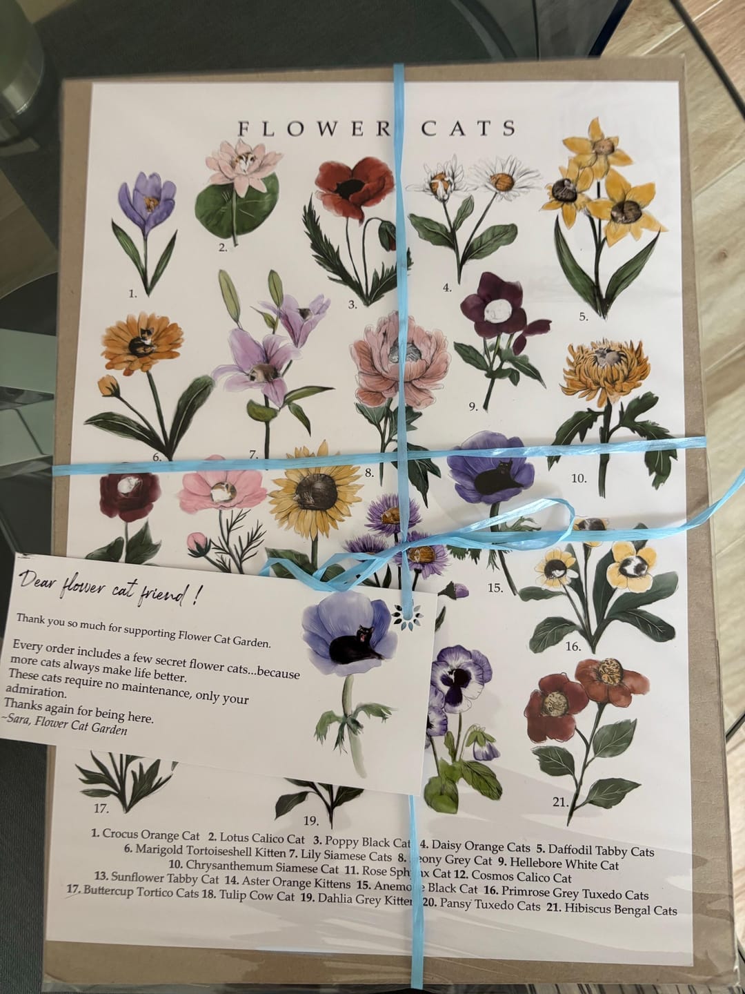 Customer photo review of Botanical Flower Cats Canvas Wall Art