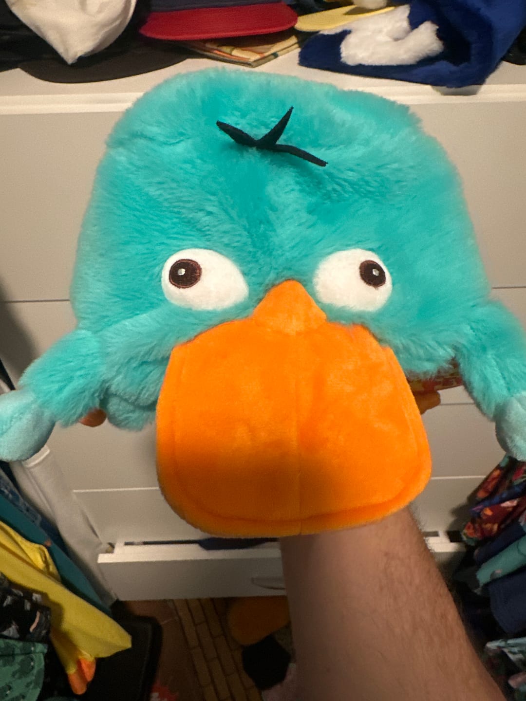 Customer photo review of Disney’s Phineas and Ferb "Perry the Platypus" – Plush Hat