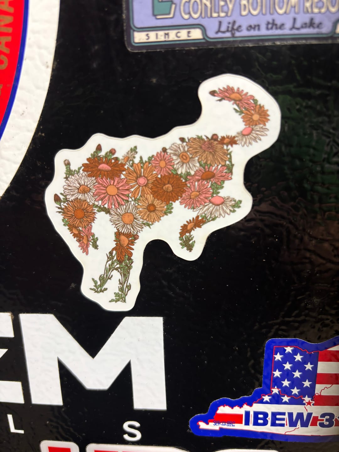 Customer photo review of CUSTOM Ford Bronco Tire Cover