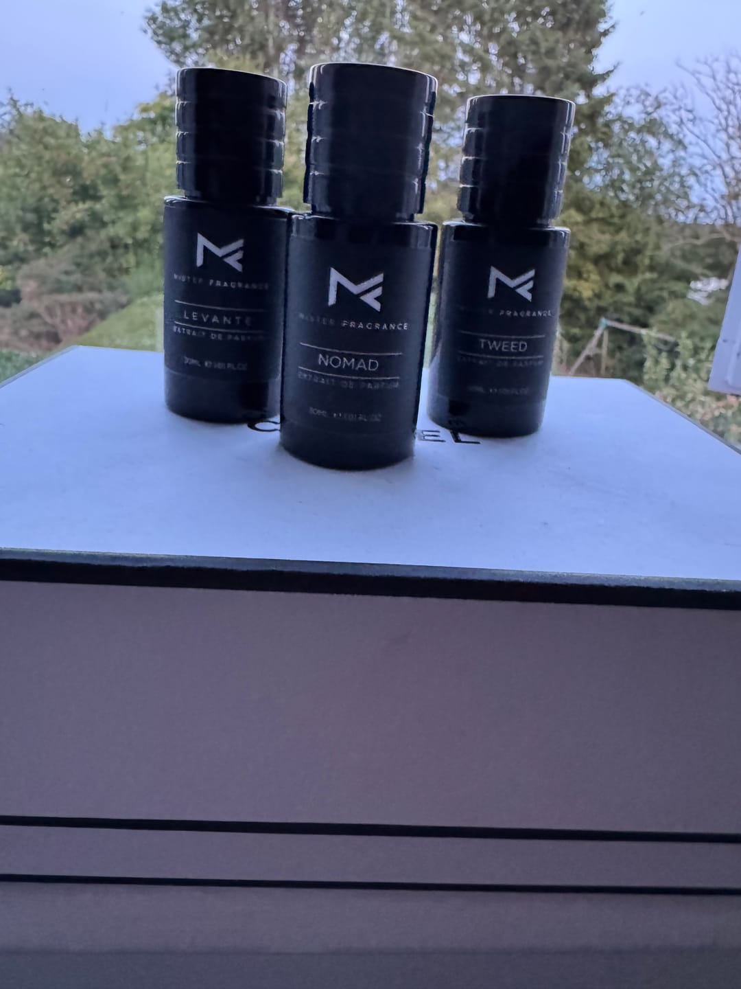 Customer photo review of Symphony