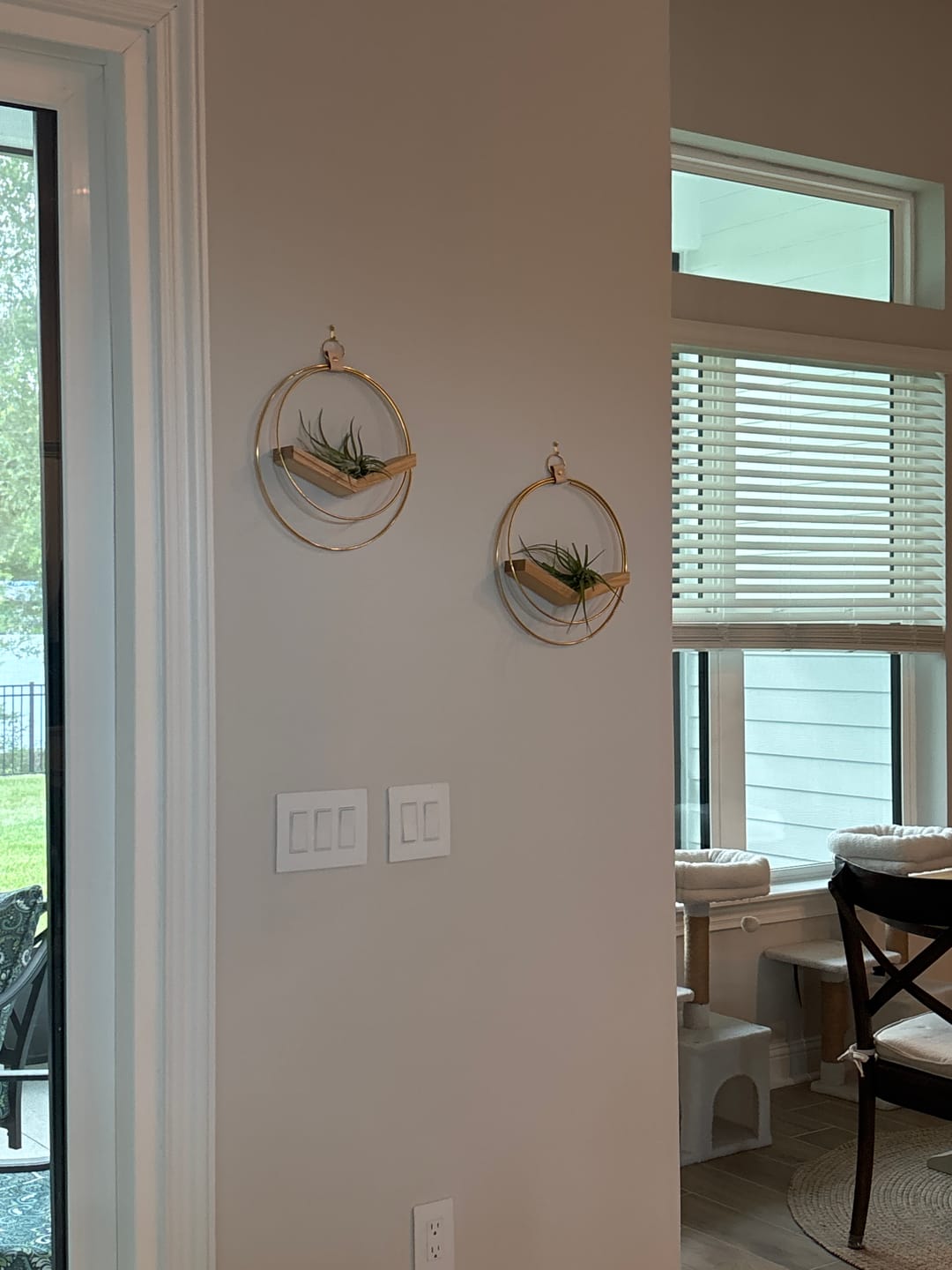 Customer photo review of Air Plant V-Hanger Duo