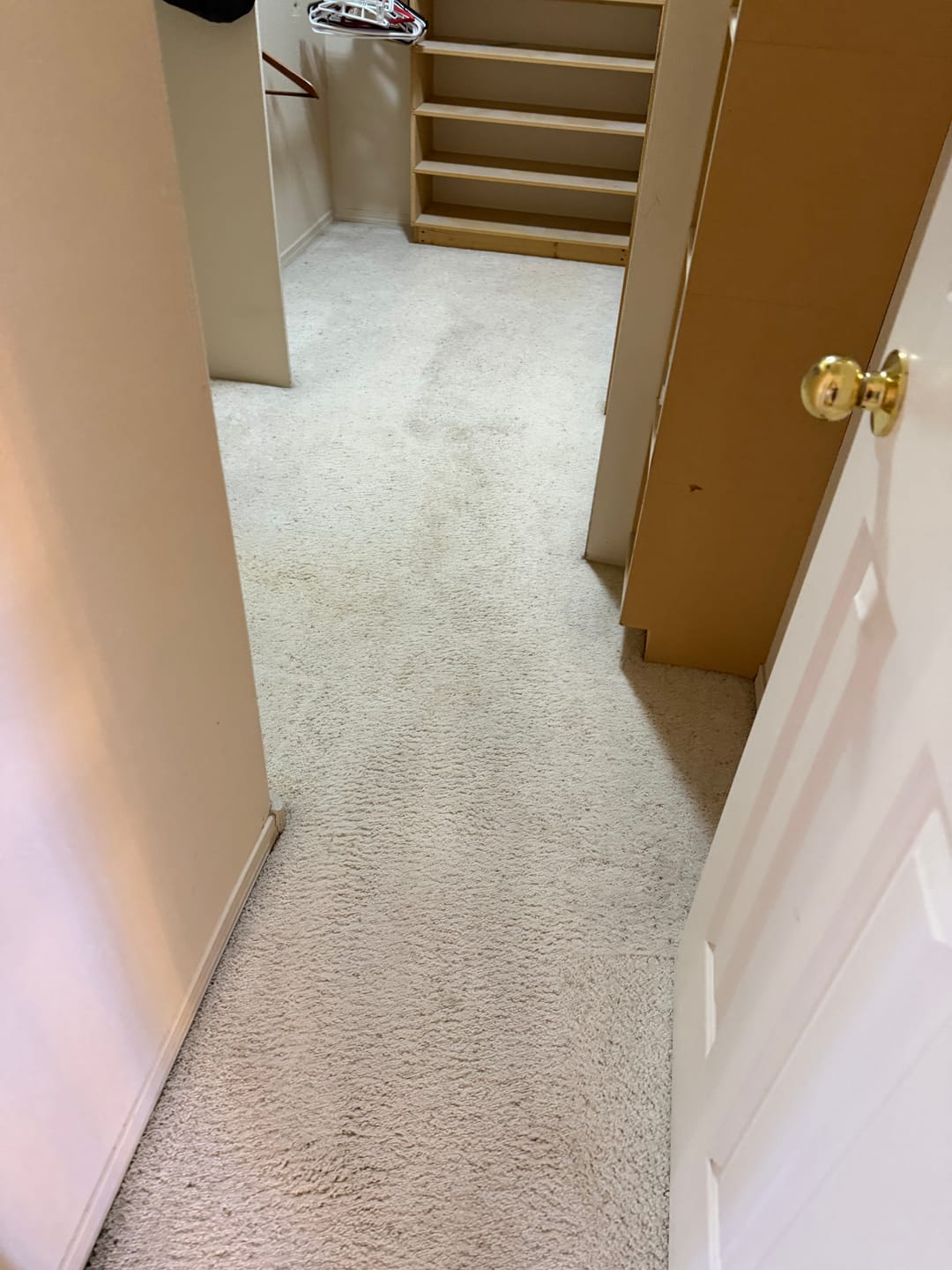 Customer photo review of FiberPlus MAX Carpet Cleaning Pads 8 inch (Case of 15) Commercial Carpet Cleaning Supplies (for 19" Cimex)