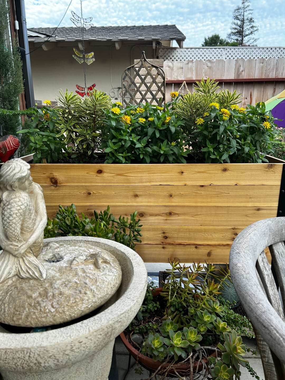 Customer photo review of 18″ x 48″ Deep Root Raised Garden Bed - 30″ TALL / Garden Grade