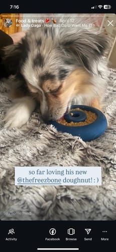Customer photo review of Freez Doughnut - Super Durable Treat Toy