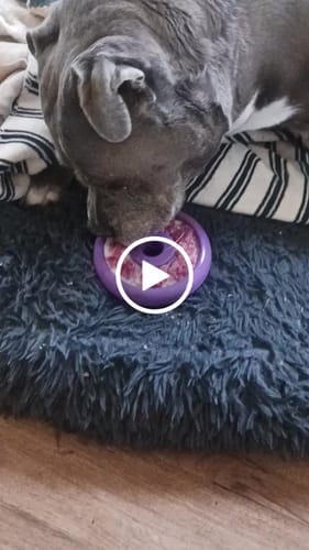 Customer photo review of Freez Doughnut - Super Durable Treat Toy