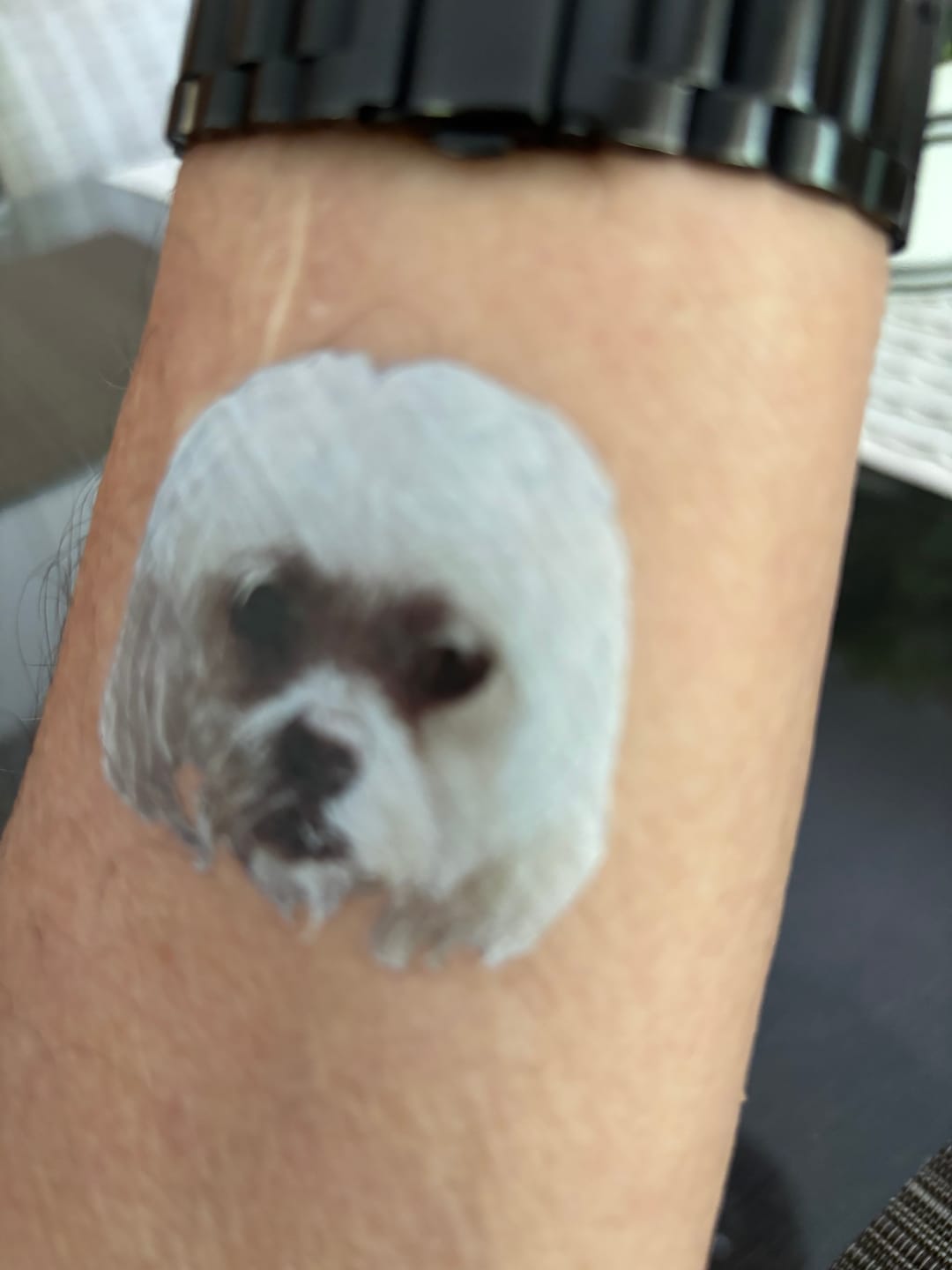 Customer photo review of Custom Photo Dog Face Cut-Out