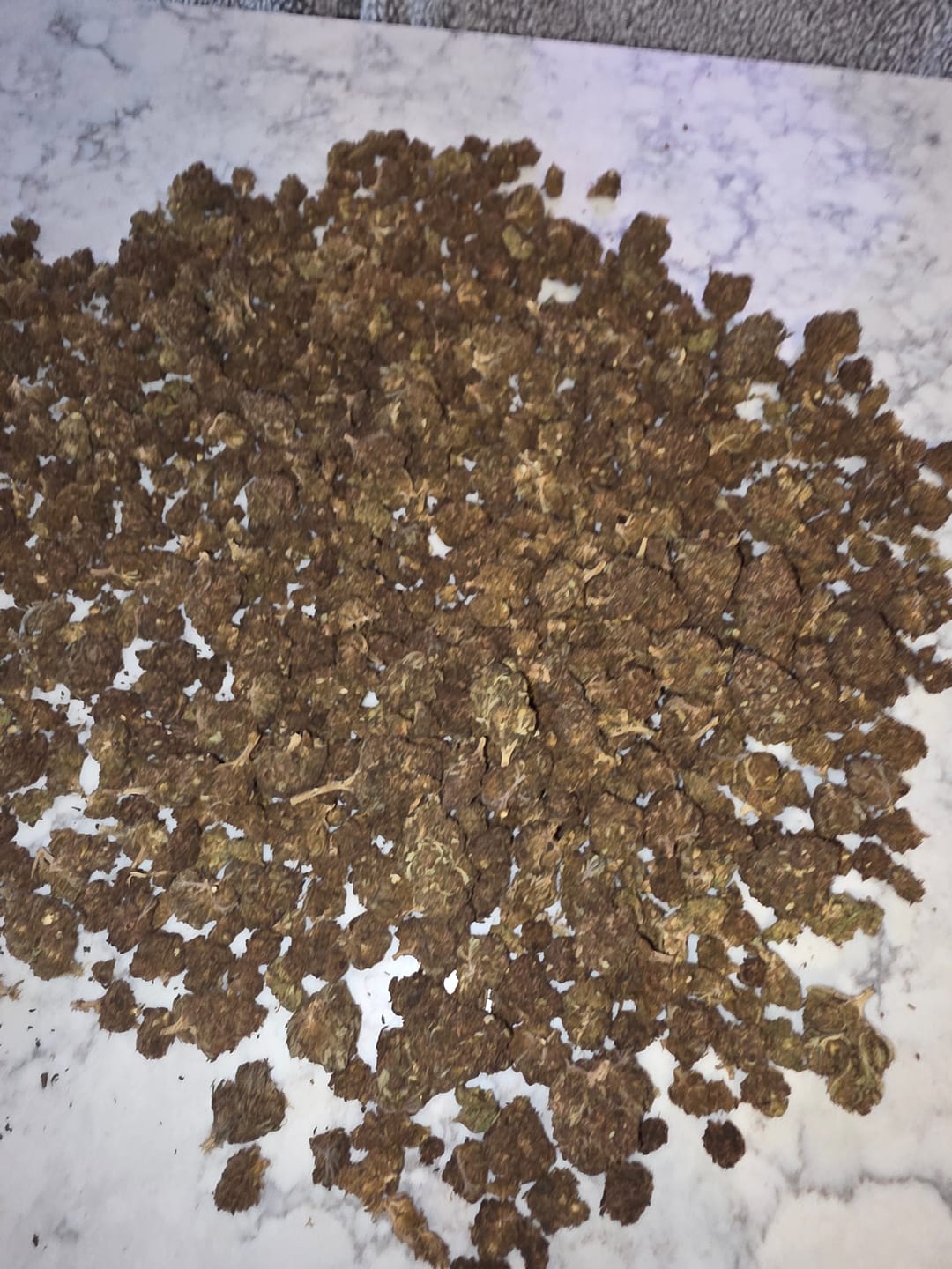 Customer photo review of Butterscotch OG - Bulk - Indica