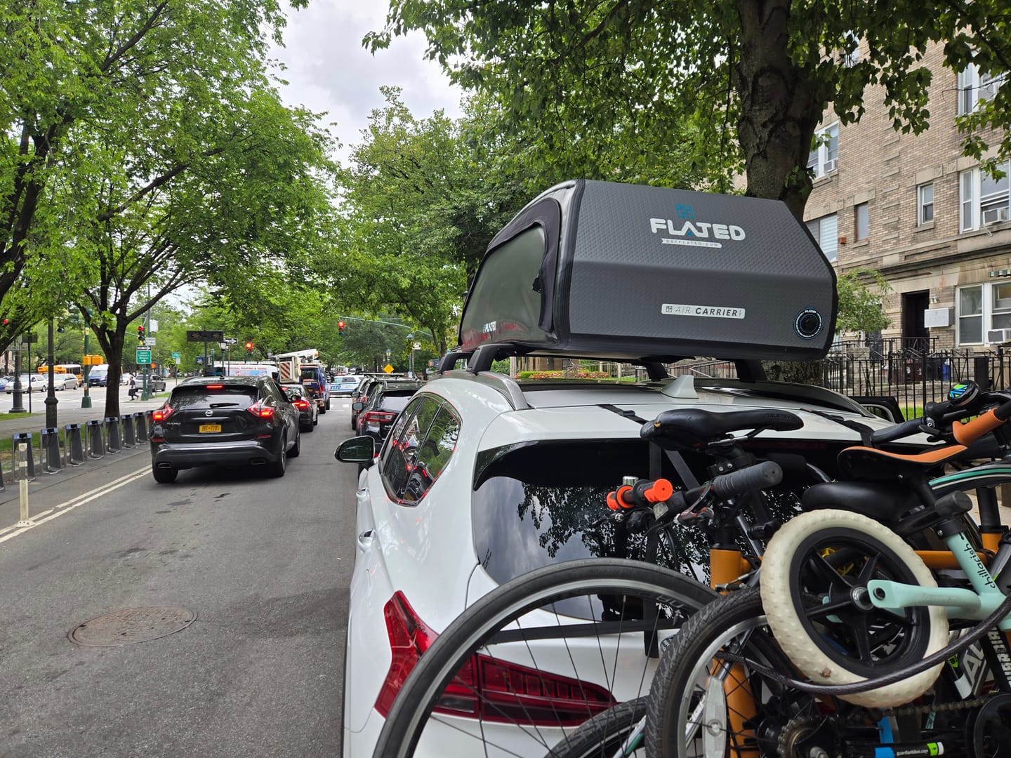 Customer photo review of LARGE CARRIER23