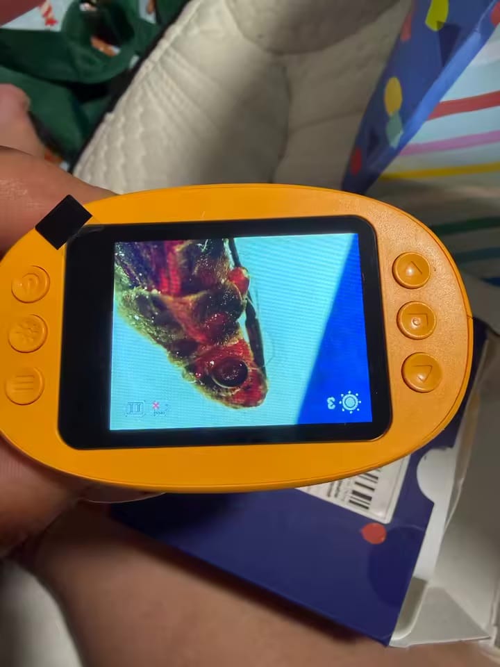 Customer photo review of DiscoveryScope™ – Kids Microscope Learning Kit
