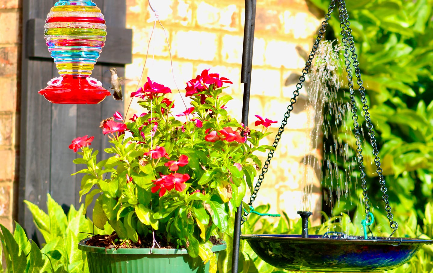 Customer photo review of Solar Hanging Bird Bath