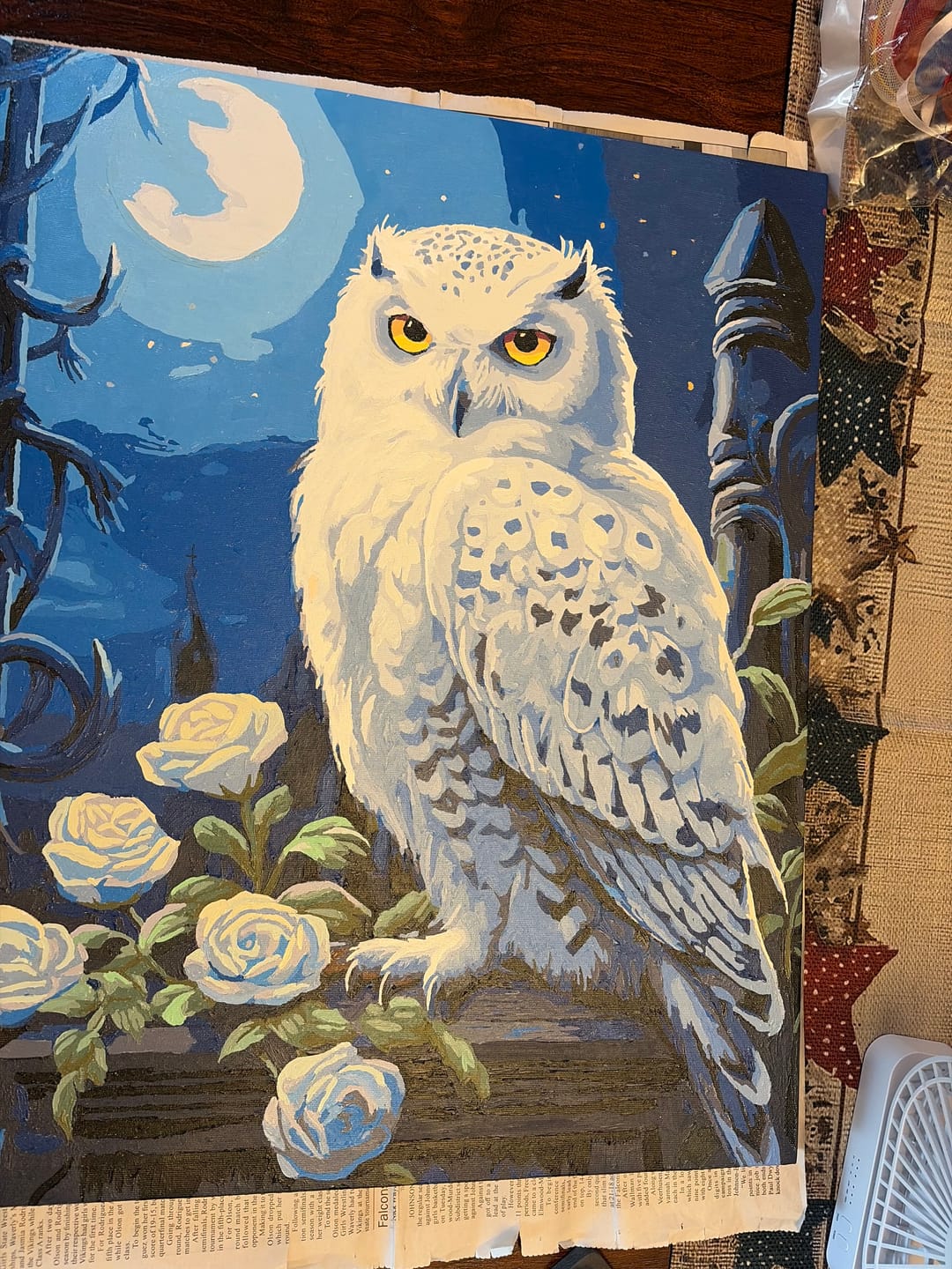 Customer photo review of Snowy Owl