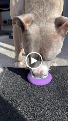 Customer photo review of Freez Doughnut - Super Durable Treat Toy