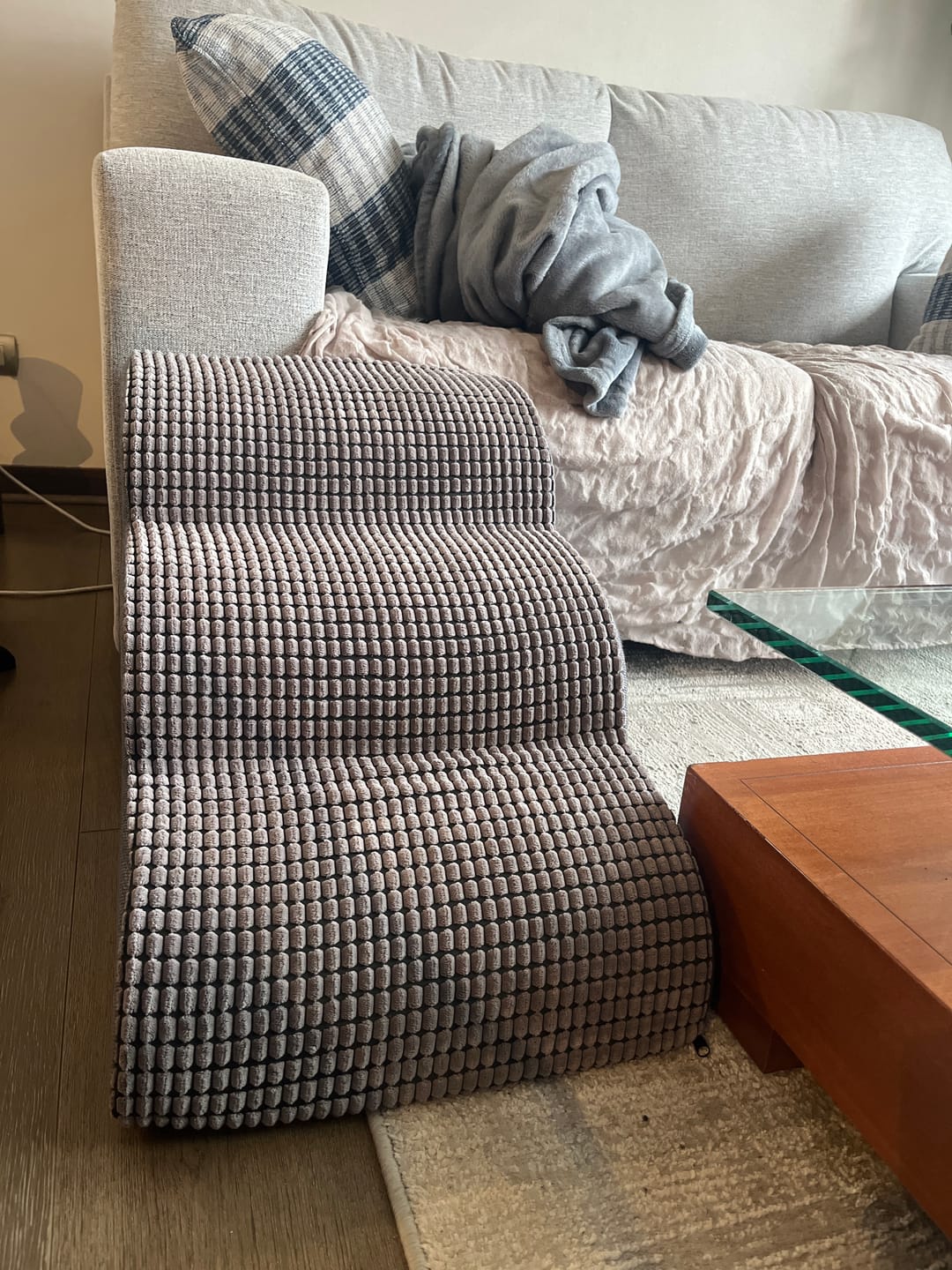 Customer photo review of Rampa Pendiente Suave THE DOGS