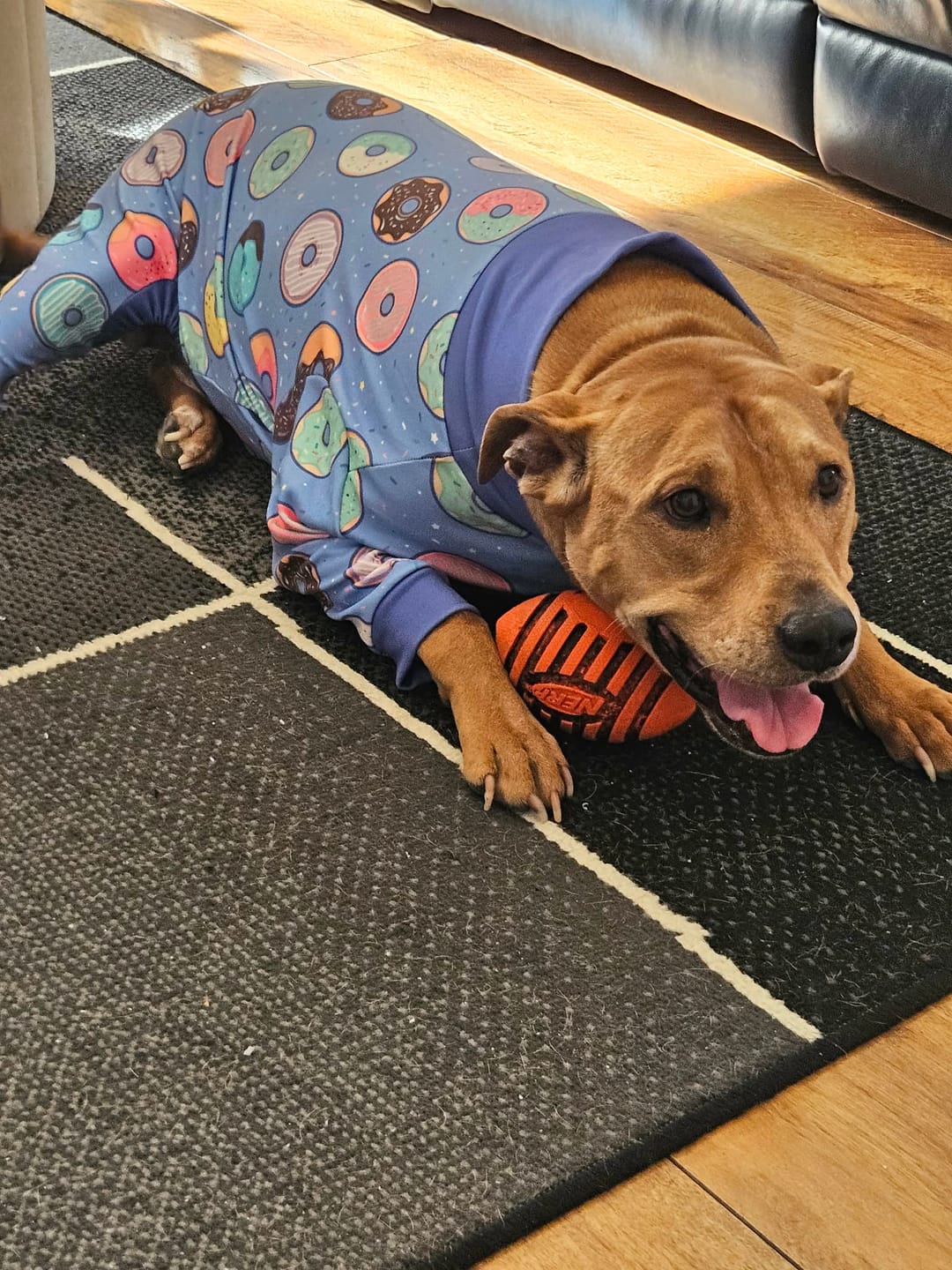 Customer photo review of Dog Pajama - Donuts