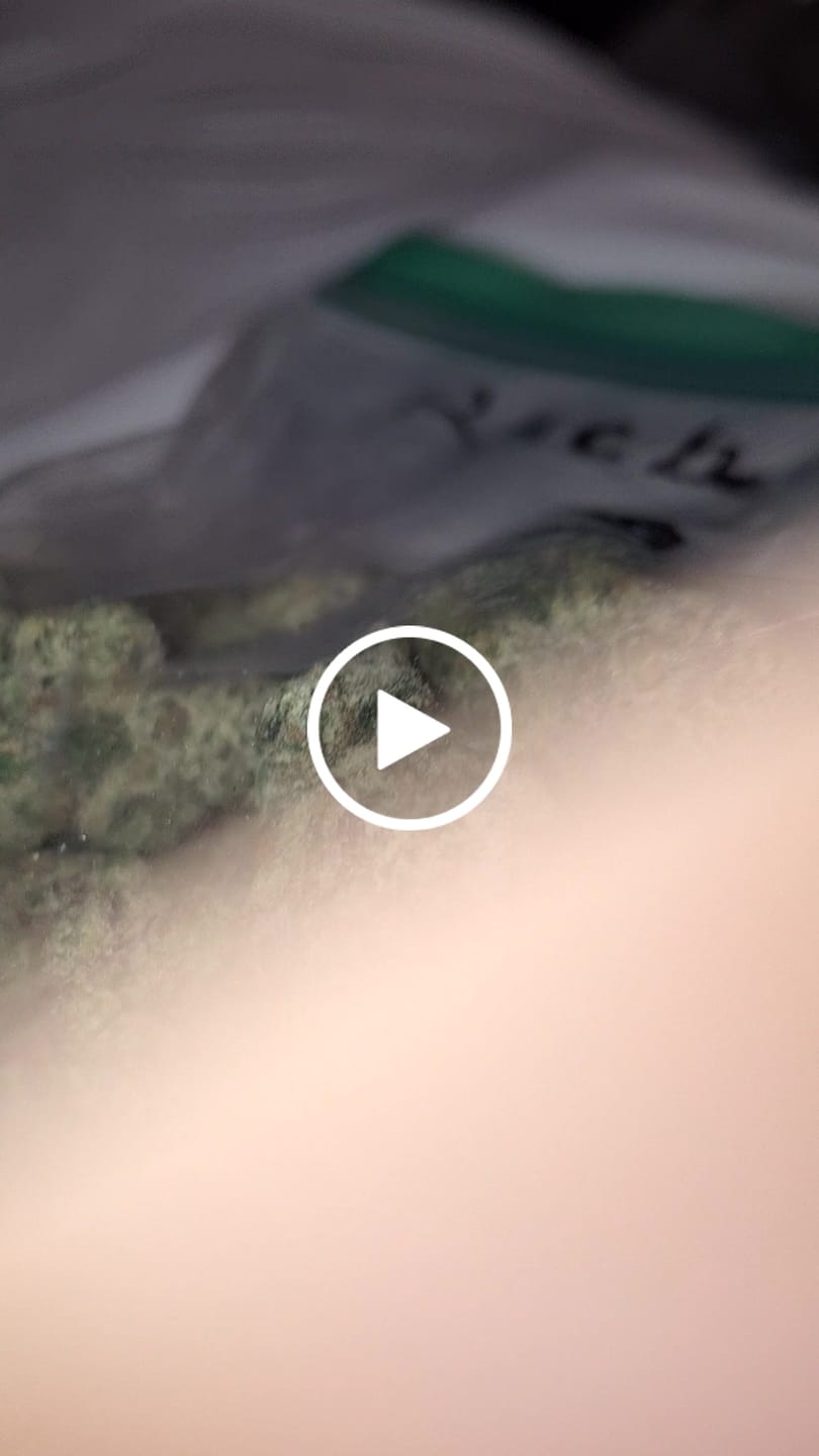 Customer video review of Blueberry THCA Flower (Exotic)
