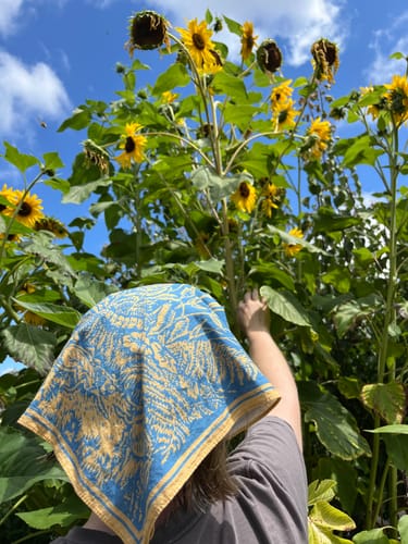 Customer wearing the blue and yellow Meadow Bandana on their head in a field of sunflowers.