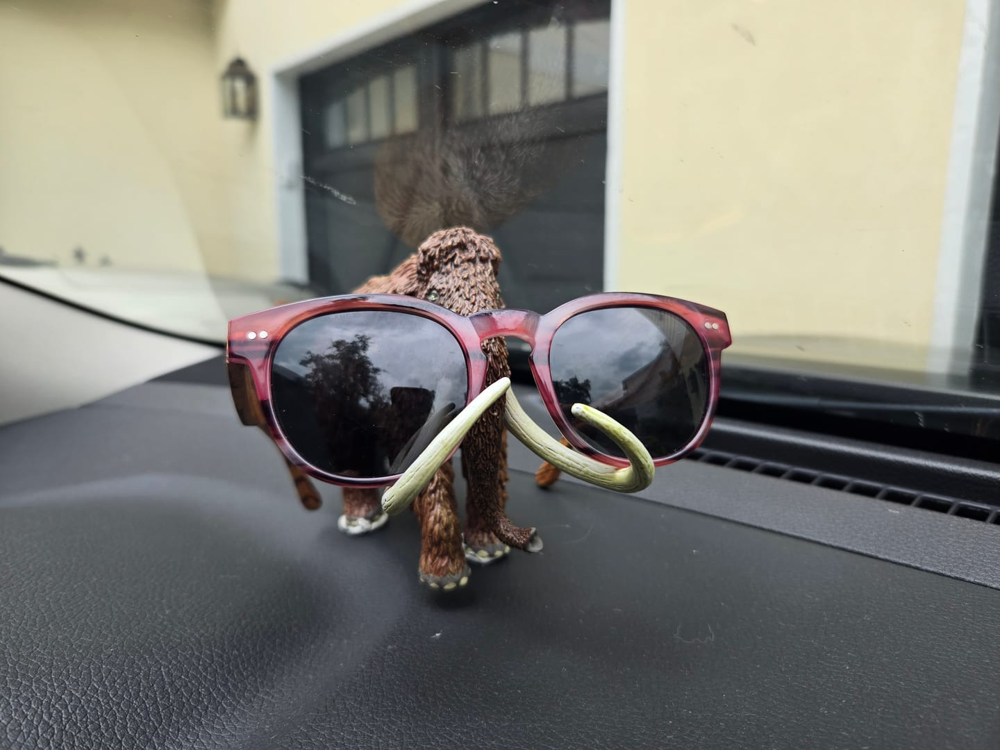 Customer photo review of LEDGER POLARIZED SUNGLASSES