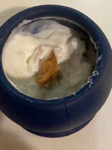 Customer photo review of Freezbox - Super Tough Treat Toy
