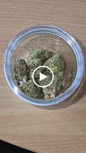 Customer video review of CALI MIX AAA+ – Premium Selection