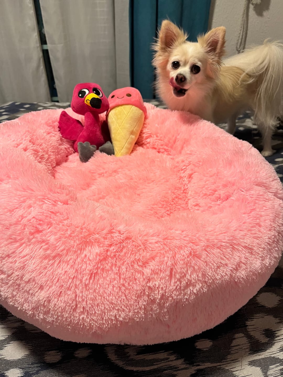 Customer photo review of Suertuditos BOX