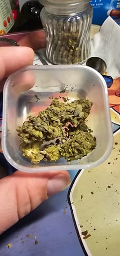 Good Day - 14 Grams - Ice Cream Cake - Indica photo review