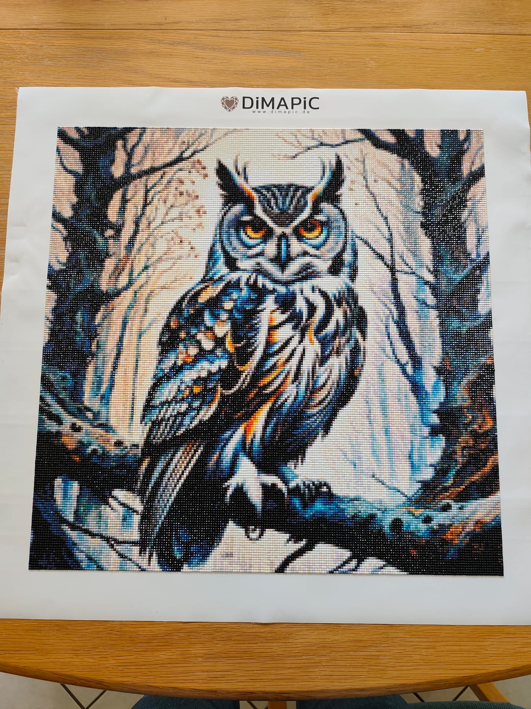 Customer photo review of Astwächter, Eule auf Ast - Diamond Painting