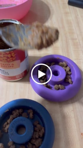 Customer photo review of Freez Doughnut - Super Durable Treat Toy