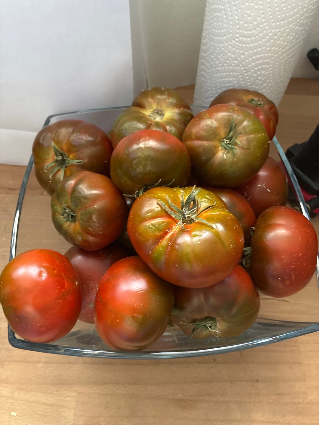 Customer photo review of Tomaten Costoluto original  Bio Sizilien