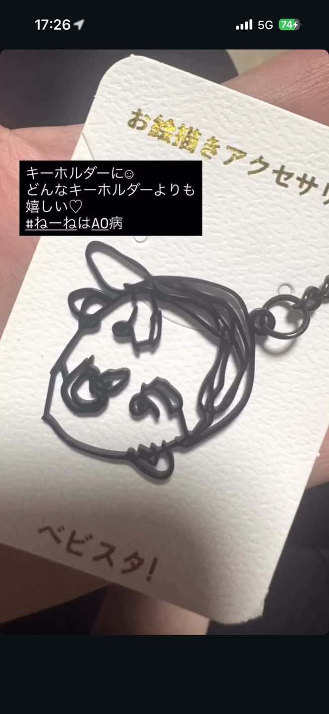 Customer photo review of 【期間限定販売7/6〜7/12】お絵描きが素敵なアクセサリーに大変身♪お絵描きアクセサリー