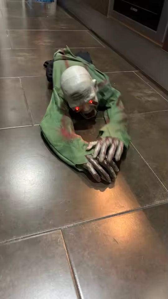 Customer photo review of Gravehaunt Robot Zombie