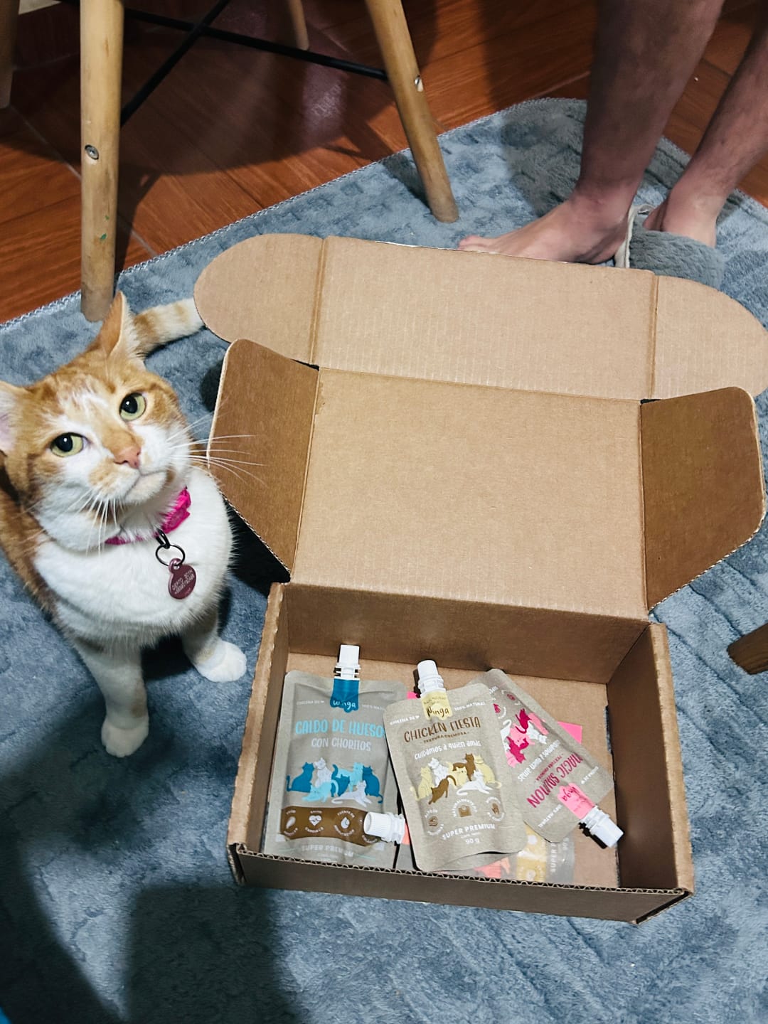 Customer photo review of Magic Salmon Gatos