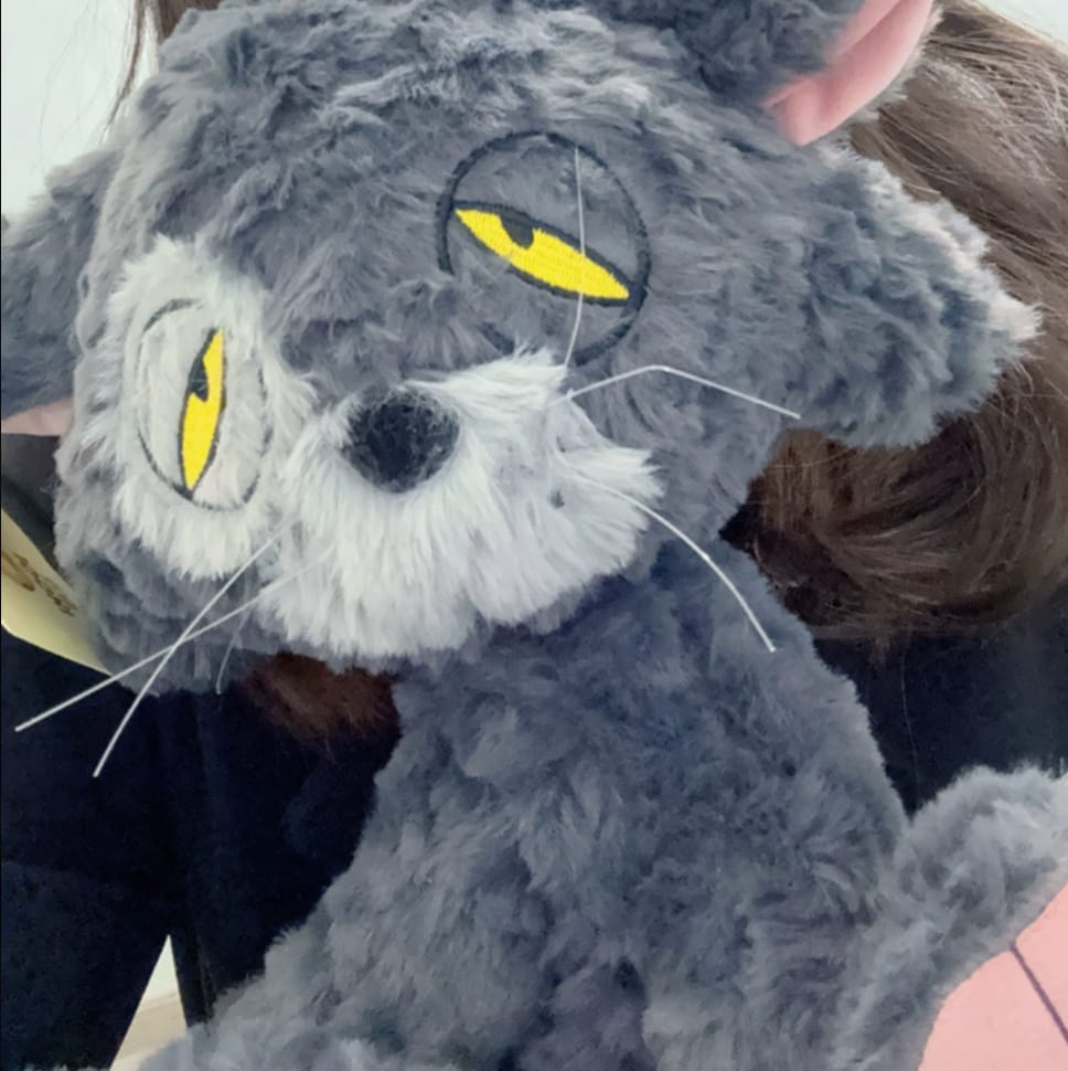 Customer photo review of Jeremy Cat
