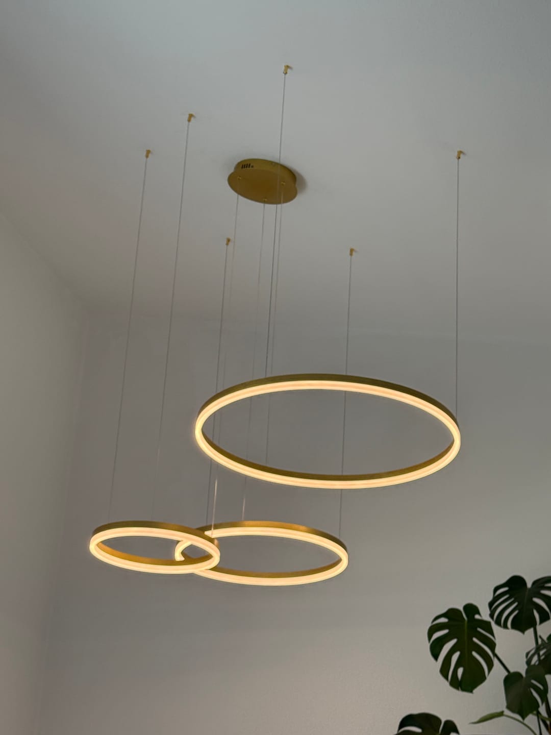Customer photo review of Tap-Light® - Solevita