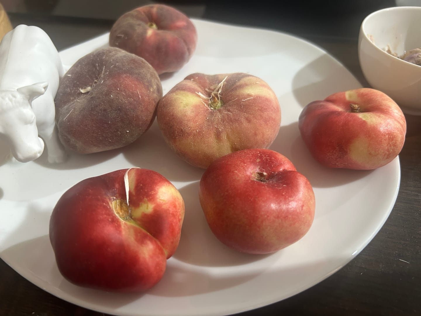 Customer photo review of Weinbergpfirsiche & Tellernektarinen Bio von Jose