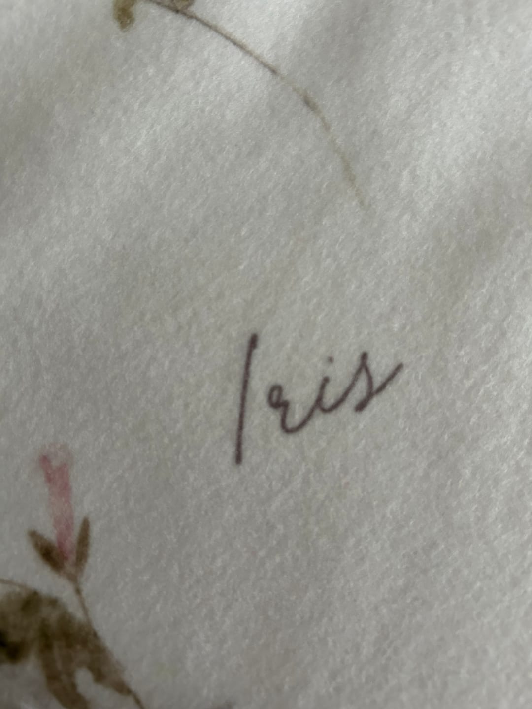 Customer photo review of Pretty wildflowers personalized baby girl blanket