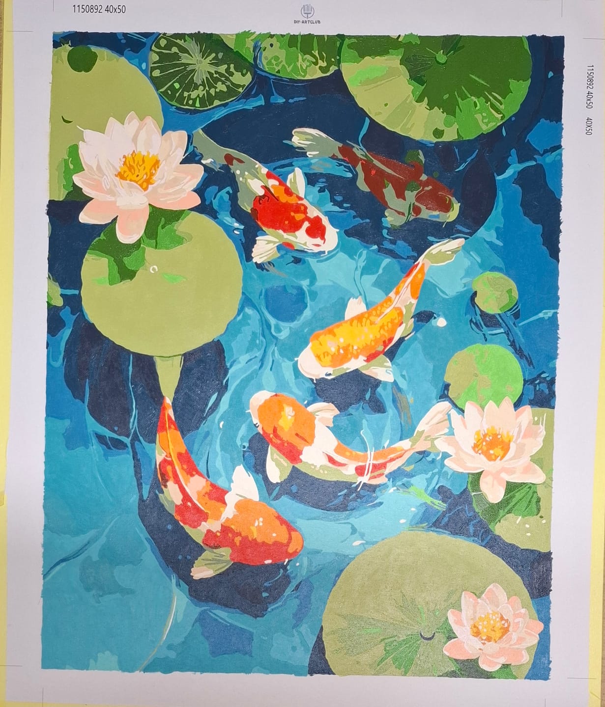 Customer photo review of Koi pond | Paint by Number