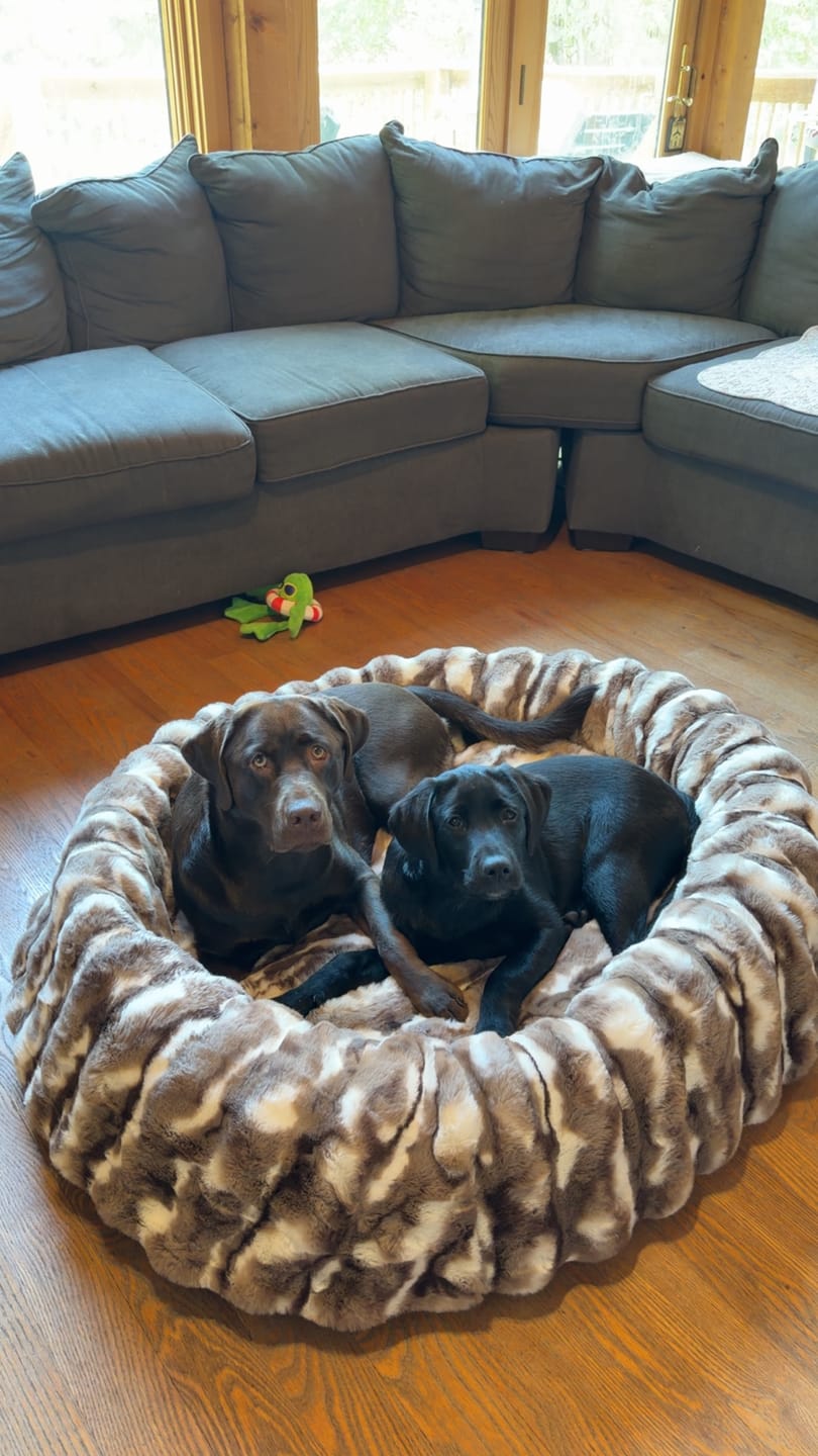 Customer photo review of Cloudy Day Brown Pet Bed