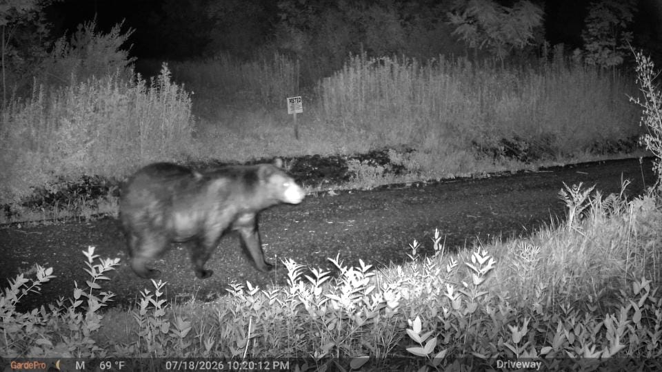 Customer photo review of GardePro Link 1.0 3000ft(1km) Long-Range Wireless Trail Camera