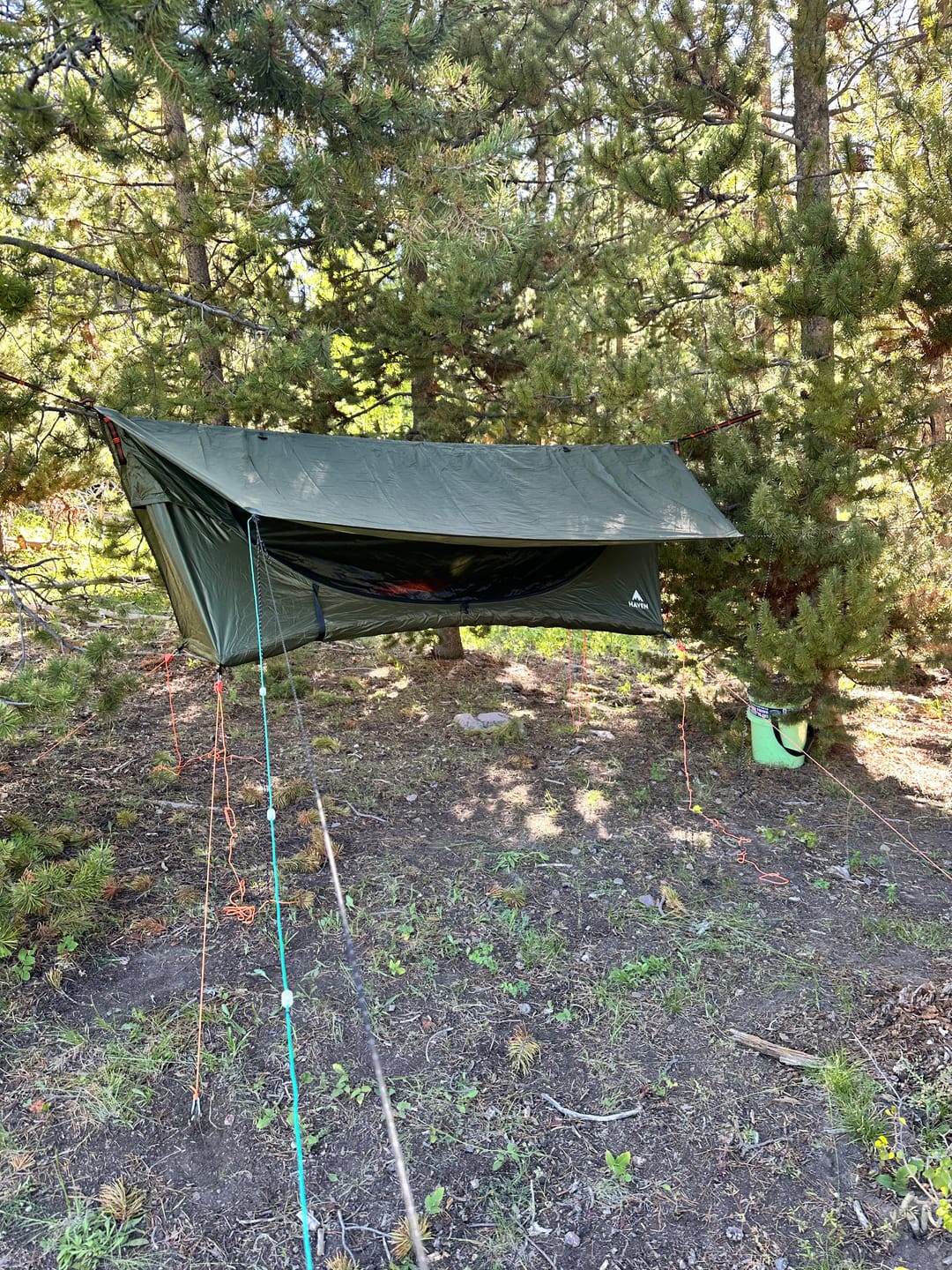 Customer photo review of Haven XL